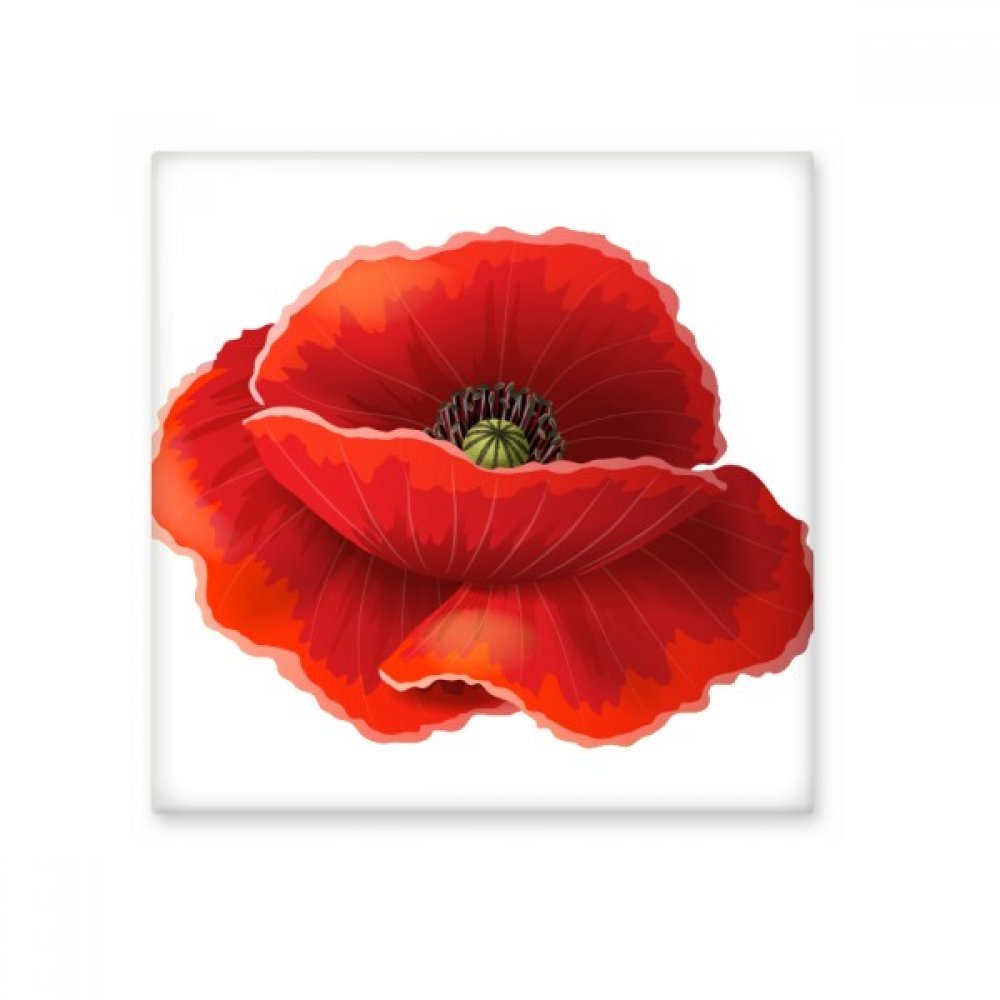 Peinture Corn Poppy carreaux de céramique murale Fleur rouge
