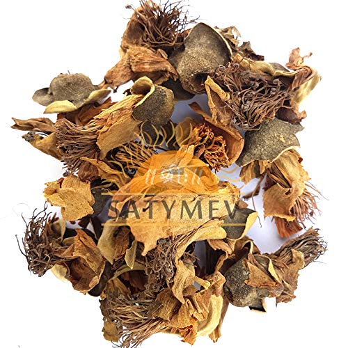 SriSatymev ® Semal Ka Phool 100gm