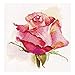 Produktbild Alisa Kreuzstich-Set  The Breath of Rose Charm