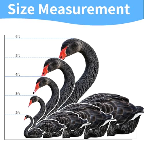Image of Black Swan 2FT Animal Life Size Cardboard Cutout Standup, 1 PC | Black Swan Animal Standup Cardboard Cutout for Party Decor, Events, Birthday Photos, Home Decor, Photo Booth, Celebrations
