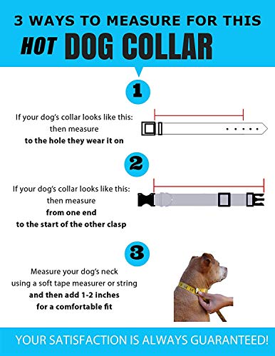 Personalized Dog Collar With Custom Hi-Def Text And Art, An Embroidered Dog Collar Alternative - Available In 7 Sizes & 21 Colors #TOP5