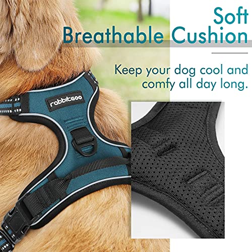 Image of rabbitgoo Dog Harness No Pull with 2 Leash Clips, Adjustable Soft Padded, Reflective Oxford No Choke Pet Vest with Easy Control Handle for Small Dogs, Blue Coral, S