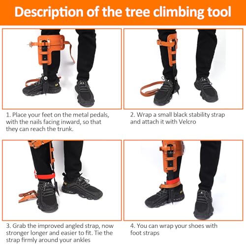 Image of Tree Climbing Gear, Tree Climbing Spikes, Tree Climbing Gear with Adjustable Climbing Straps and Steel Core Flip Line, Rock Climbing Kit with Triple Lock Lanyard Adjuster