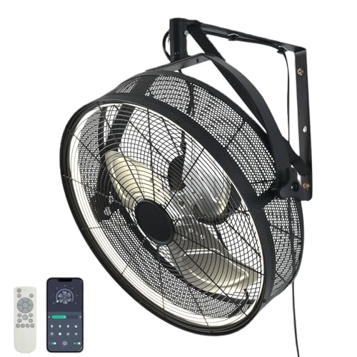 AHAWILL 20" Wall Mounted Fan with Lights, 360° Adjustable Tilt,Garage
