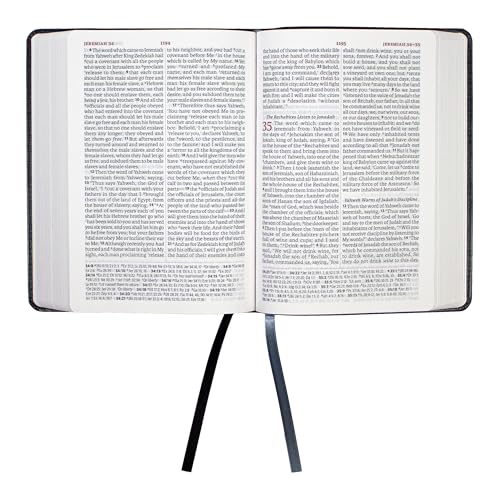 Image of LSB Holy Bible for Men, Portable Size, Gray Imitation Leather with Debossed Sword: Legacy Standard Bible in a 2-Column Paragraph, Red Letter Format with 2 Ribbon Markers