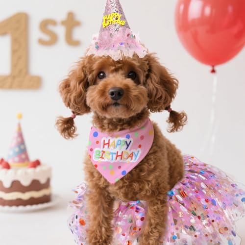 Disfraz de cumpleaños para perro con gorro y vestido rosa miniatura 4