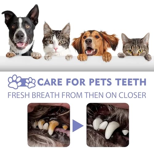 Snellspy Cat & Dog Dental Cleaning Spray, Remove Tartar & Freshen Breath, Pet Oral Care Spray, Cat Dog Teeth Cleaning Spray (1pcs)