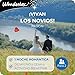 Imagen de WONDERBOX