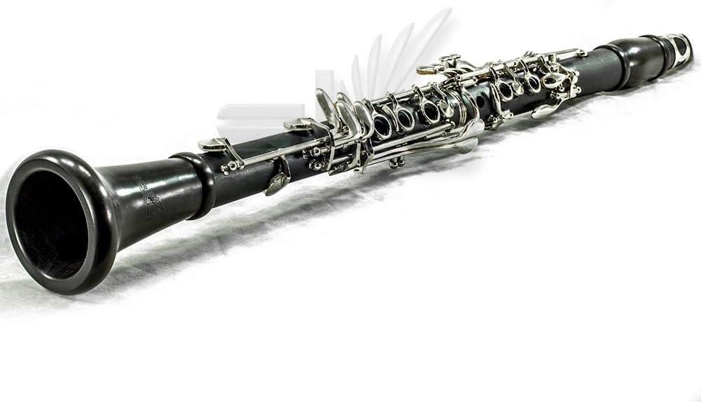 SKY Ebonite Bb Clarinet Ebony Neck and Bell with Case, Mouthpiece, 11 Reeds, Care kit and more