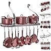 Vdomus Hanging Pot Rack Organizer, Wall Mounted Kitchen Pan Organizer Pots and Pan Storage with 10 hooks, Kitchen cookware Storage Organizer, 24 by 10-inch (sliver)