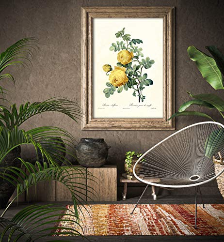 Panorama Quadro su Alluminio Rosa Gialla Vintage