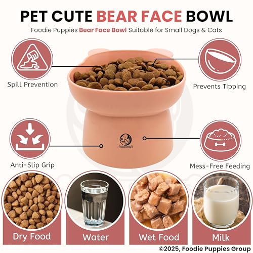 Image of Foodie Puppies Cat Tilted Food and Water Feeder (Bear Face Bowl, Pack of 2) | Durable, Anti Vomiting, Healthy Cat Bowl for Persian Cat Prevent Tipping Over | Elevated Feeder for Cats and Small Dogs