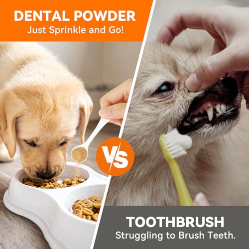 Image of PUAINTA Dog Teeth Cleaning Powder - Dental Powder for Dog Bad Breath Treatment Freshener - Dogs Plaque Off and Tartar Remover - Cat Dog Dental Care (3.17 Ounce (Pack of 1))