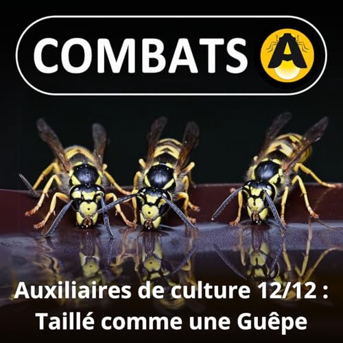 SP&Eacute;CIAL Auxiliaires 12/12 : Sans Gu&ecirc;pes, pas de vin !