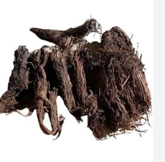 Jatamansi Roots | Jatamasi |Nardostachys Jatamansi | Spikenard | Musk Root (100 gm)