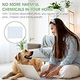 20 Pack of Unscented Sticks for the Vent Scent Whole Home Air Freshener | Choose your Custom Scent | Passive Essential Oil Diffuser | Easier Placement Than HVAC Furnace Filter | House Fragrance System - Image 3