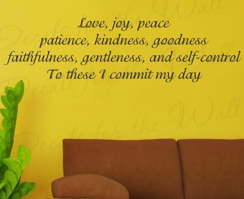 Love Joy Peace Patience Kindness Goodness - Inspirational Home Living Room Religious God Bible - Decorative Vinyl Lettering Quote, Wall Decal Art, Sticker Graphic Decor, Saying Decoration