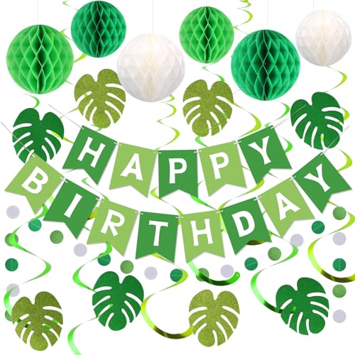 meowtastic Green Birthday Decorations - Green Happy Birthday Banner with Honeycomb Balls, Palm Leaves Hanging Swirl Streamers, Circle Dot Garland Decorations - Birthday Party Decoration for Boy Girl