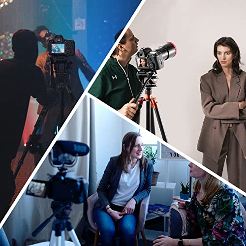 Neewer Metal Heavy Duty Video Camera Tripod Fluid Drag Pan Head With 1/4 And 3/8 Inches Screws Sliding Plate For Dslr Cameras Video Camcorders Shooting Filming, Up To 11 Pounds/5 Kilograms #TOP6