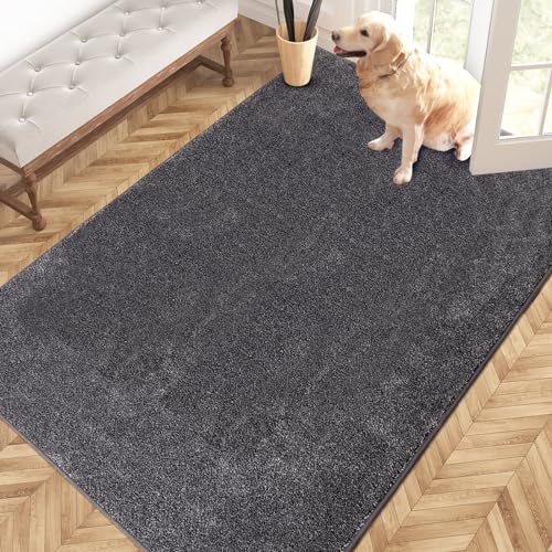 PURRUGS Easy Care Entryway Rug 4x6
