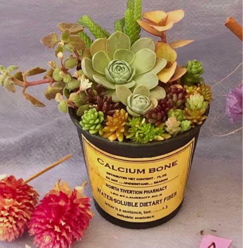 AA 񂹐A ĕ?? Jt ̂܂܏܂