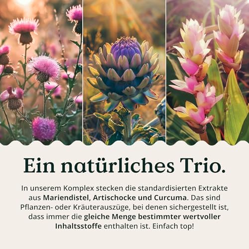 NATURE LOVE® Leber Komplex - 120 Kapseln - mit Mariendistel, Cholin, Artischockenextrakt, Curcuma & Zink - Hochdosiert, vegan, laborgeprüft und in Deutschland produziert