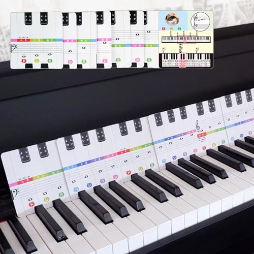 Amazon.co.jp: ドレミ鍵盤カード 4オクターブ / フラッシュカード 31