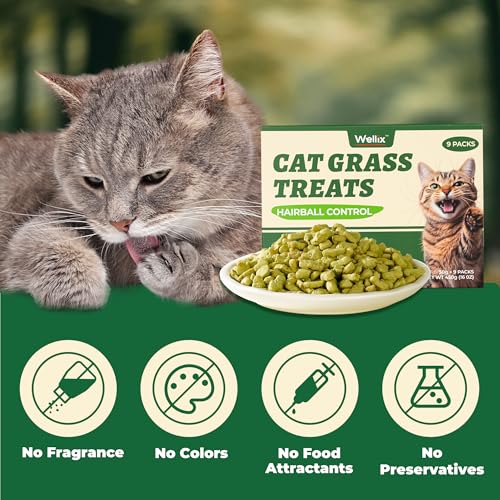 Wellix-450g16oz-Cat-Grass-Treats-Healthy-Kitten-Snacks-Natural-Salmon-Flavor-Dental-Cleaning-and-Hairball-Control-Catnip-Training-Biscuits-for-Indoor-Cats