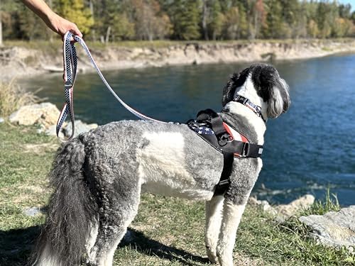 ShawnCo Essential Harness, Leash & Collar Set (Stars and Stripes, L)