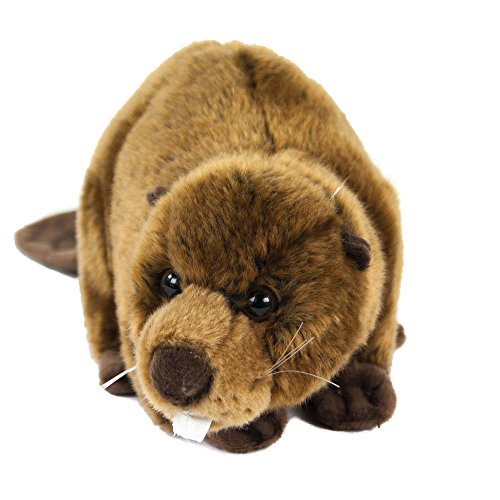 Kuscheltier Biber 25 cm (40cm mit Schwanz) liegend braun Nager Plüschbiber Nagetier Plüschtier Uni-Toys