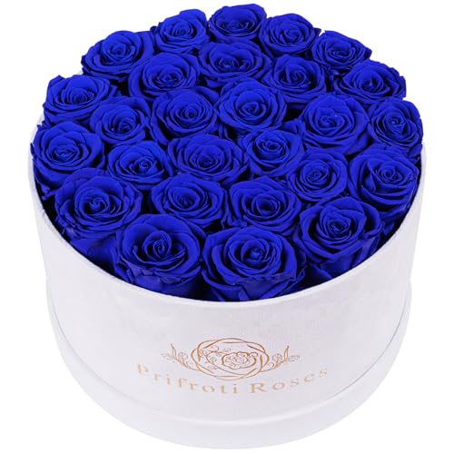27 Flowers in a Luxury Suede Box, Birthday Gifts for Women, Preserved Flowers, Mothers Day Roses Gift for Mom, Royal Blue