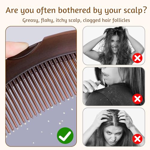 Schuppenkamm, Haarkamm für Schuppen Hohler Zahnkopf Reinigung Kopfhautpflege Schuppenkamm Feiner Zahnschwanzkamm Energie-Massage-Haarkamm Waschbarer Schuppen Kamm für Damen und Herren