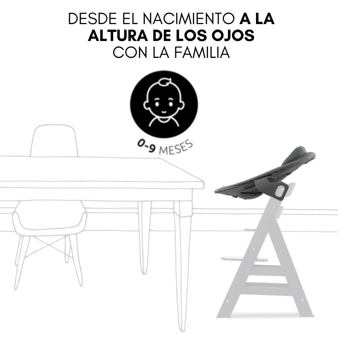 hauck Alpha Move Newborn Set de Trona Bebe Evolutiva con Nueva Hamaca Premium, Tronas de Bebe desde el Nacimiento con Ruedas, Hamaca Bebe, Bandeja y Cojín - Natural/Gris oscuro