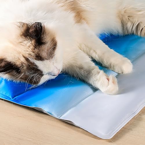 Coussin doux pour chats d'exception - Tapis de refroidissement portable et pliable haute densité