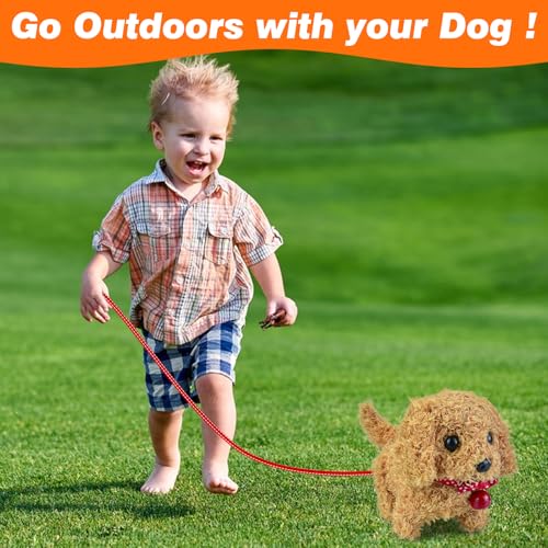 lectronic Pet, Toy Dog with Walking, Barking,Realistischer hund spielzeug kinder, Hund mit Leine der Läuft und Bellt, Haustier PlüSchtier, Hund Spielzeug Kinder laufenderhund spielzeug für kinder