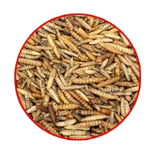 Ambiopet Soldatenfliegenlarven (Hermetia) getrocknet 5 + 5kg Packung, Black Soldier Fly, Protein- und fettreiches Wildvogelfutter, reich an Calcium und Laurinsäure