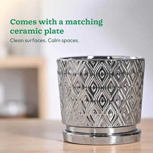 Image of UGAOO Peacock Ceramic Pot - 5 Inch | Ceramic pots for Indoor Plants | Ceramic Flower Pot for Living Room | planters for Home Decor (Silver)