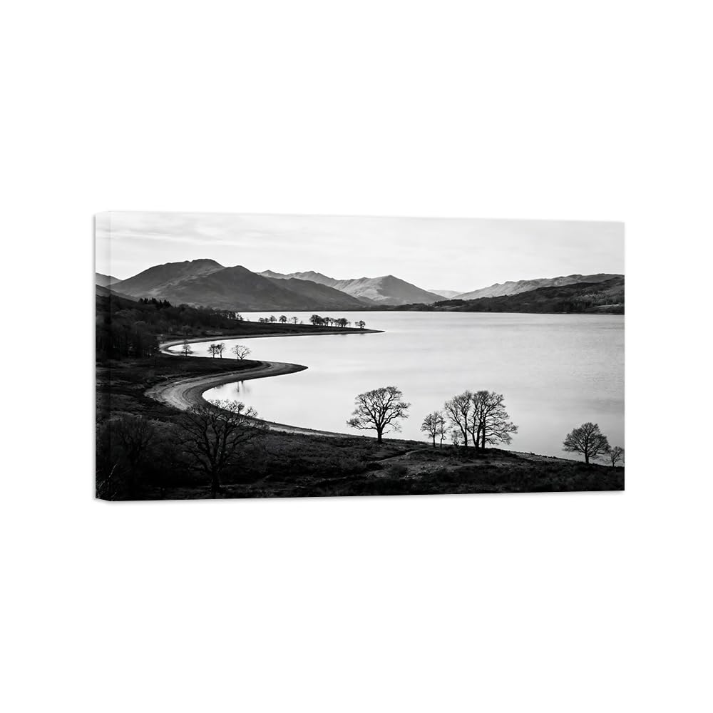 OZPWBVY Lake Tree No.6 Black White Landscape Wall Art Prints 40x70cm Framed
