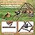 Vorhomness Pine Wood Chicken Perch with 2 Swings & Ladder, Multi-Level Chicken Roosting Bars for Backyard Coop, Roosting Bars for 10–12 Chickens, Easy to Assemble & Clean