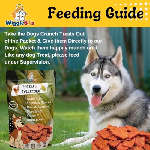 Image of 45g Chicken & Sweetcorn Dog & Puppy Treat | High-Protein Snack | Antioxidant-Rich | Crunchy & Healthy | Wholesome | Training | Easy to Digest