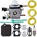TOPEMAI BG55 Carburetor for Stihl BG45 BG65 BG85 Leaf Blower Zama C1Q-S68 C1Q-S68G with Air Filter Tune Up Kit