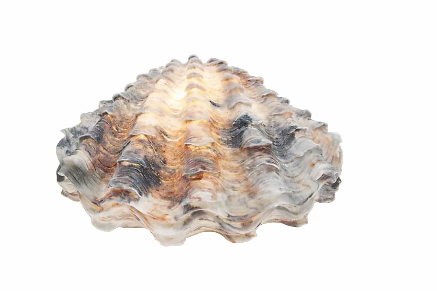 Barbara King Illuminated Sandstone Seashell Clam Sculpture, LED