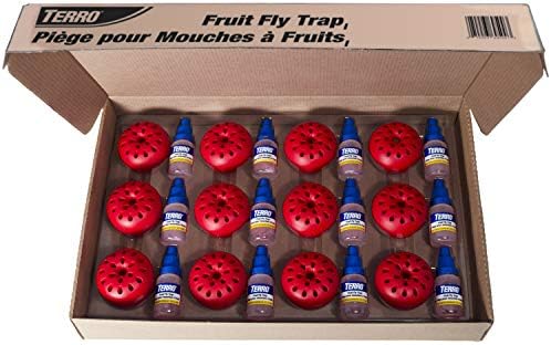 TERRO T2512 Ready-to-Use Indoor Fruit Fly Killer and Trap with Built in Window - 12 Traps + 540 day Lure Supply