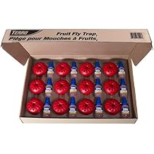 Terro Fruit Fly Traps for Indoors 12 Pack + 540 Days of Lure Supply