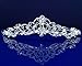 SC Wedding Tiara headband 10037
