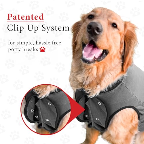 image for BellyGuard Recovery Suit for Dogs, Comfy Dog Surgery Suit, Female Spay