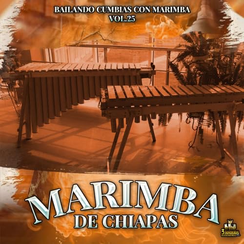 Play Bailando Cumbias Con Marimba Vol. 25 by Marimba De Chiapas on