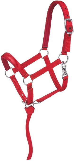 Tough 1 Nylon Padded Mini Halter