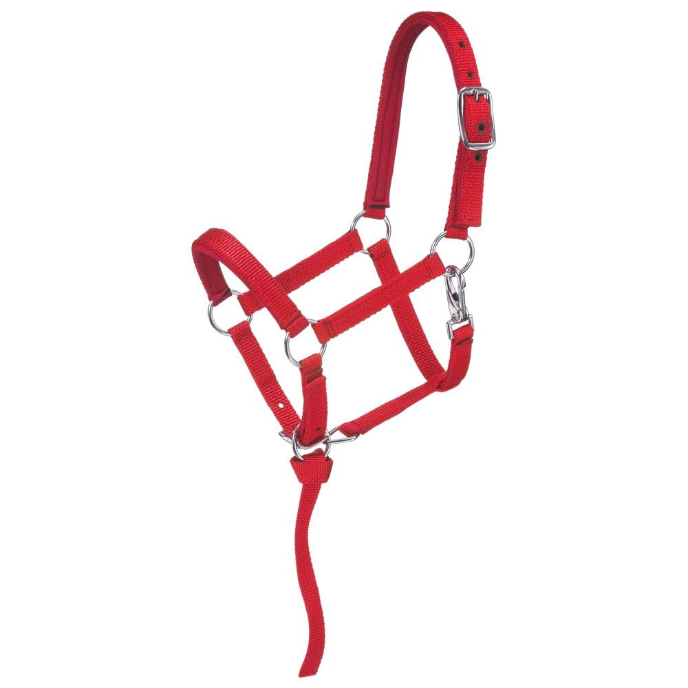 Tough 1 Nylon Padded Miniature Halter