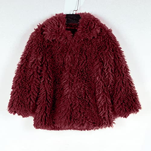 Toddler Girls Coat Winter Windproof Thicken Coat Jacket Kids Warm Outerwear Jacket Big Jacket for Kids (Wine, 2-3 Years)3